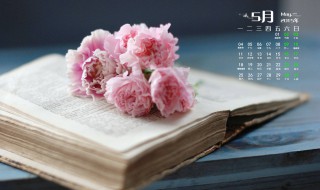 描写树木的优美句子 描写树木茂盛的优美语句