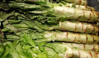 莴笋高产种植方法 莴笋高产种植技术