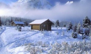 关于冬天的优美句子 关于冬天的优美句子有哪些