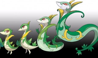 蛇是怎么过冬的 蛇的过冬方法