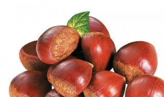 栗子储存方法 栗子储存方法有哪些