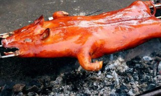 烤乳猪应该怎么做 烤乳猪的做法