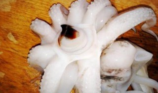 新鲜乌鱼花怎么做 乌鱼花的做法