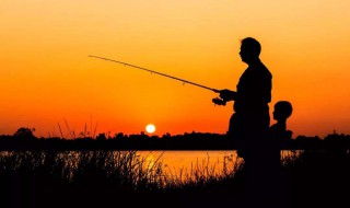 钓鲫鱼用什么料好 腥香味型的饵料