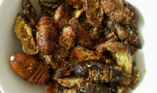 蚕蛹怎么保存不会死 可以保存多久呢