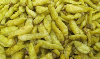 泡小米辣椒的方法 如何泡小米辣椒