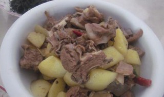 炖羊肉要怎么做 炖羊肉的方法