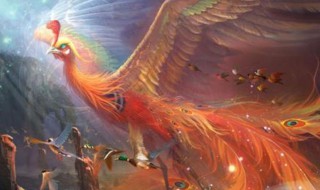 凤凰是什么动物 凤凰简介