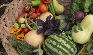 果蔬饮料怎么做 果蔬饮料做法