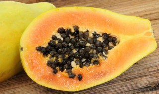 木瓜籽种植技巧 木瓜籽种植技巧有哪些