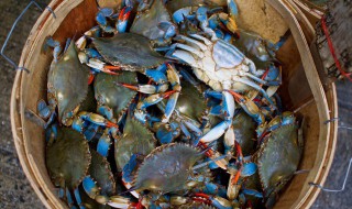 怎么做盐焗螃蟹 盐焗螃蟹步骤