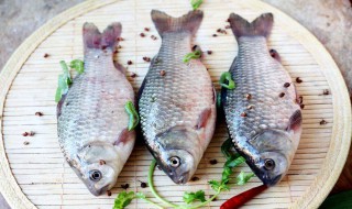 鲫鱼要怎么做 鲫鱼做法
