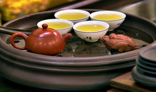 正确的煮白茶方法 正确的煮白茶方法简述