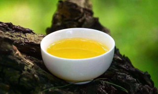 哪些人不宜空腹吃茶油 这类人一定要注意了