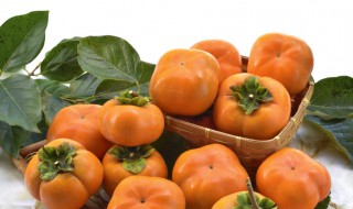 泡柿子正确方法 水温多少度最合适