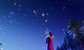 关于16岁的唯美句子 关于16岁的唯美句子有哪些