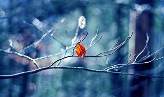 关于立冬的传说 关于立冬的传说是什么