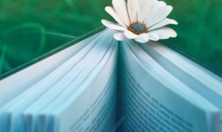 关于清晨的唯美句子 描写清晨的优美句子