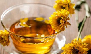 老年人适合喝什么茶 老年人适合喝的茶列述