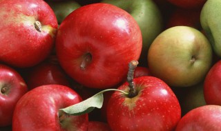 血糖高什么水果不能吃 血糖高不能吃的水果列述