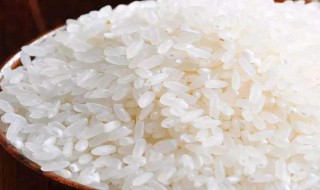 简单的热饭该如何做 简单的热饭做法
