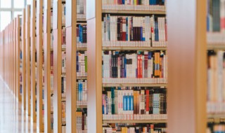 odf是什么 odf的解释