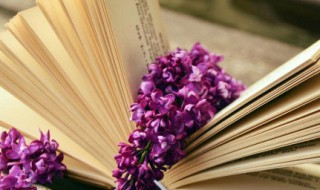 月到中秋分外明的意思 月到中秋分外明什么意思