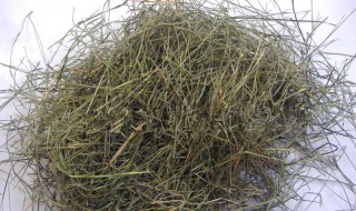 牛更草的功效与作用 牛更草的作用是什么