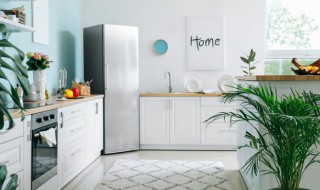 冰箱怎么调 调节冰箱温度的方法