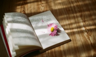 霞光万道是什么意思 霞光万道的意思