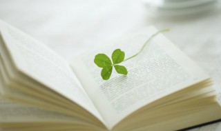 缘起即灭缘生已空什么意思 缘起即灭缘生已空的含义