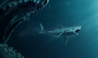 巨齿鲨动物简介 巨齿鲨动物的简介