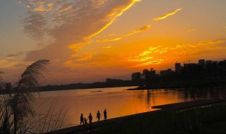 毁灭作者雨兰简介 毁灭作者雨兰简介内容