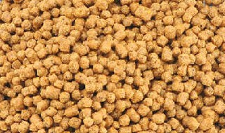 鱼食怎么做 鱼食做法步骤