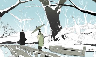 雪国简介 书雪国资料