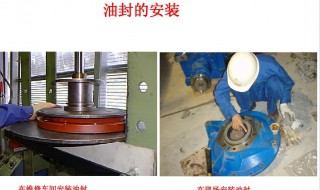 油封的正确安装方法 怎么安装油封
