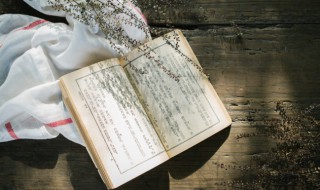 长相忆的意思 长相忆的原文及翻译