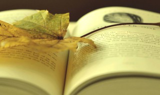 bae是宝贝的意思吗 bae是不是宝贝的意思