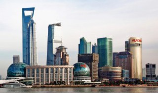 沪上两朵花代表什么意思 沪上两朵花是什么意思