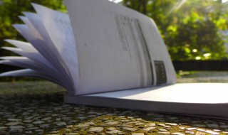 特殊批次线什么意思 特殊批次线解释