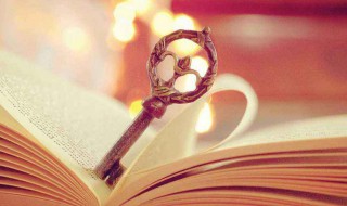 pd数据线是什么意思 pd数据线解释