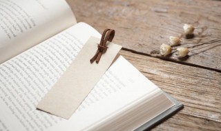 地球共分为多少个纪元各叫什么 地球共分为多少个纪