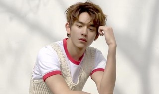 lucas是哪个组合的 lucas是哪个组合的成员