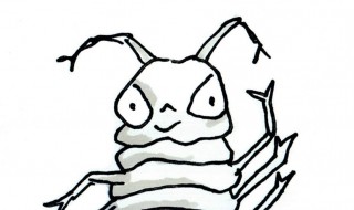 很臭的虫子叫什么 很臭的虫子名字