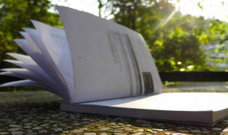 blued不10是什么意思啊 blued不10解释