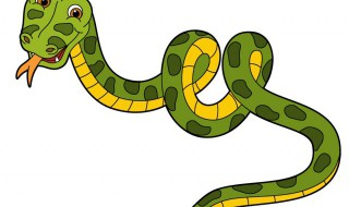 引蛇出洞方法 引蛇出洞的方法