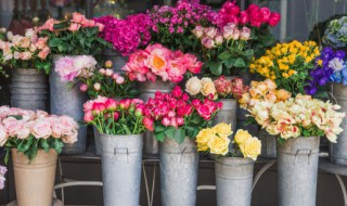 恰似草木对光阴的钟情什么意思 恰似草木对光阴的钟情意思介绍