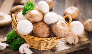 素炒蟹味菇的做法大全 蟹味菇怎么炒