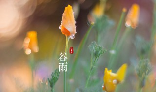 二十四节气正确顺序表 二十四节气顺序介绍