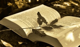 岁数怎么算 岁数计算方法